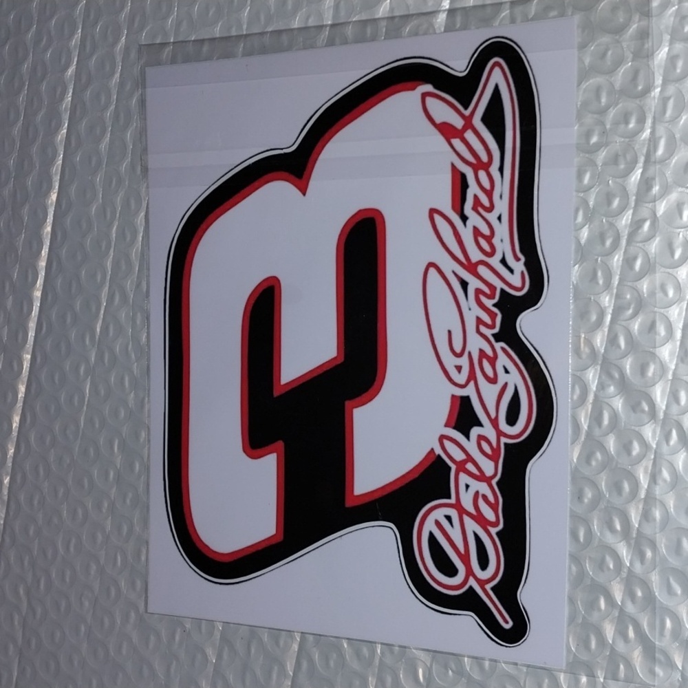 Vintage Dale Earnhardt NASCAR Signature 3 Decal Sticker 5X6